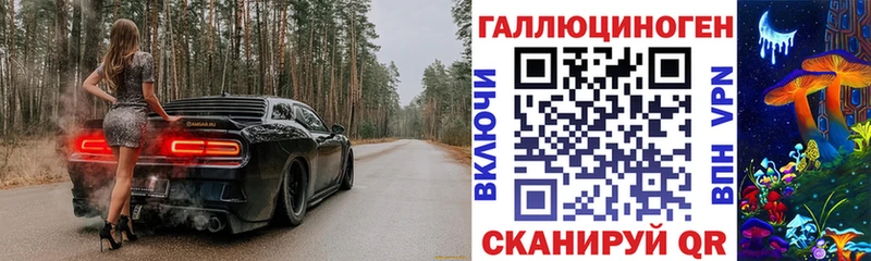 Галлюциногенные грибы GOLDEN TEACHER  Купить  Харовск 